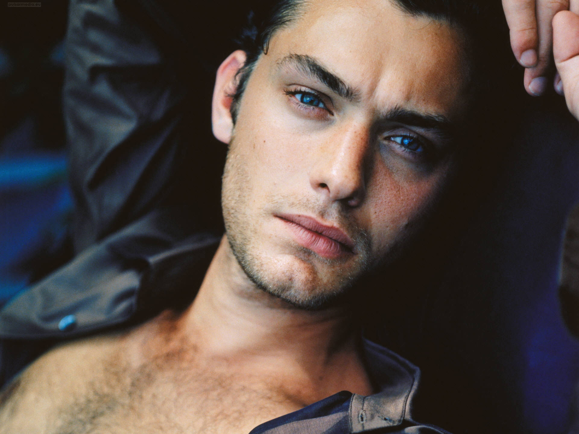 Young Jude Law Male Face Wallpaper