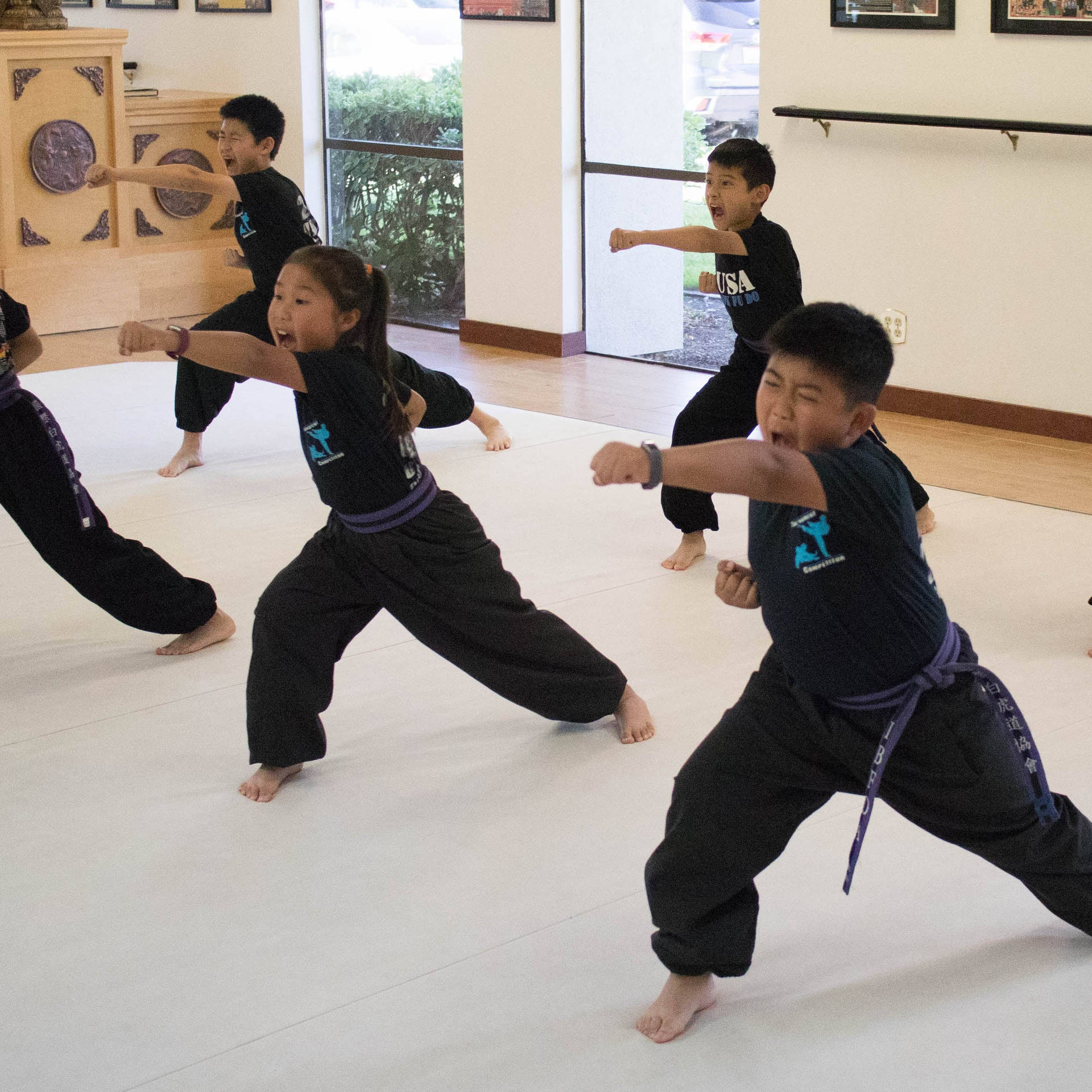 Young Kids Kung Fu Classes Wallpaper