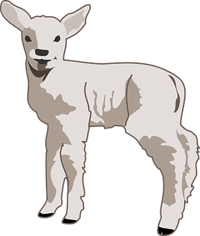 Young Lamb Illustration PNG