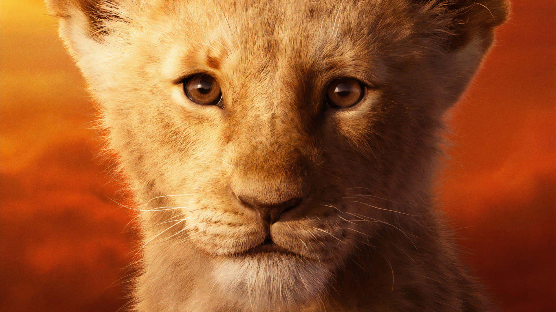 Young Lion King Simba Portrait Wallpaper