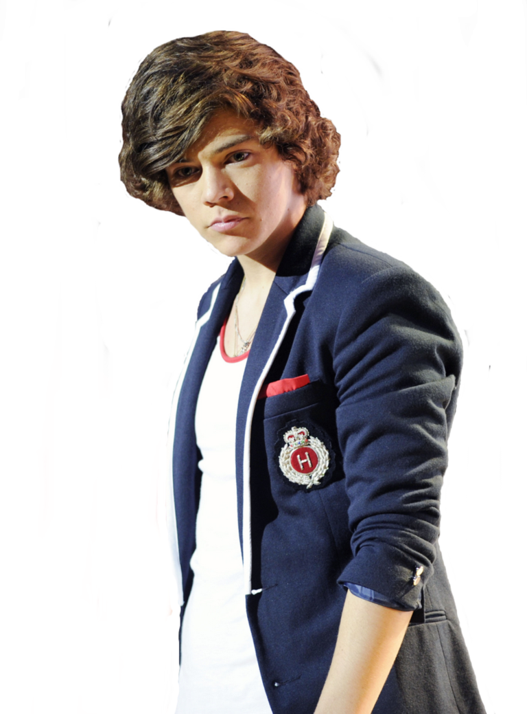 Young Male Celebrity Blazer PNG
