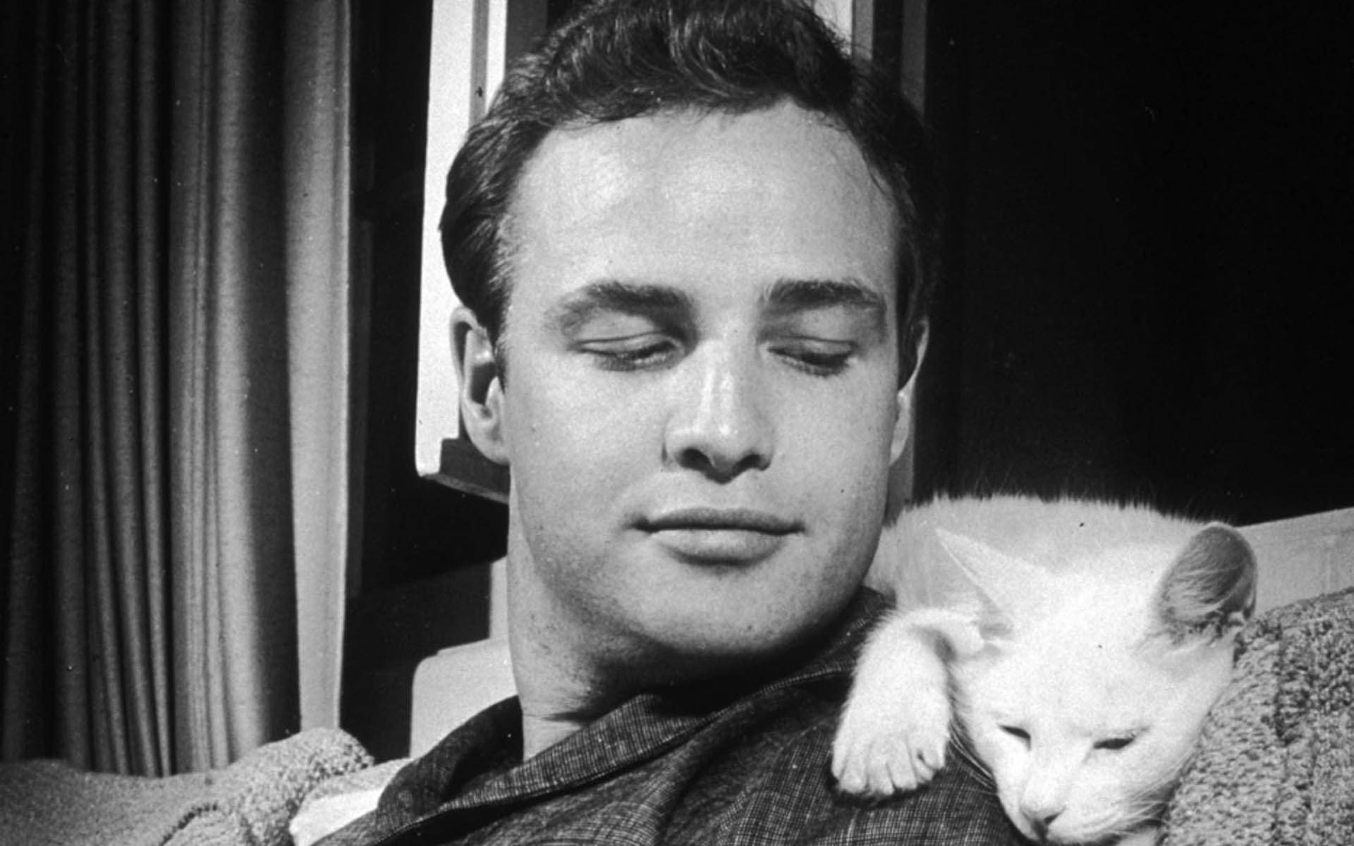 Young Marlon Brando Sitting With White Cat Background