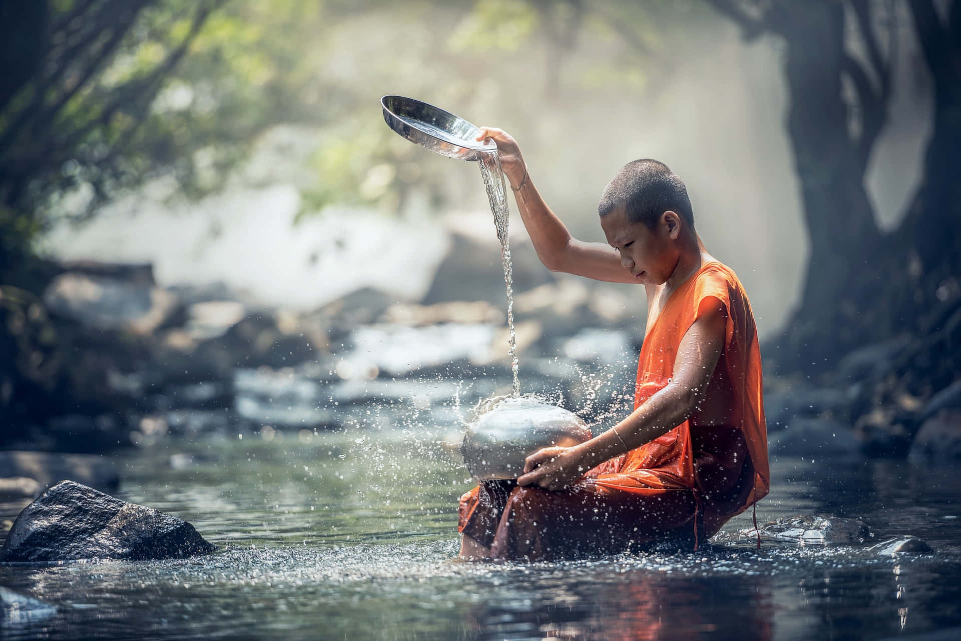 Young Monk Of Mindfulness Wallpaper