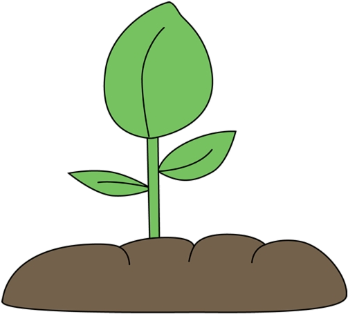 Young Plant Growingin Soil PNG