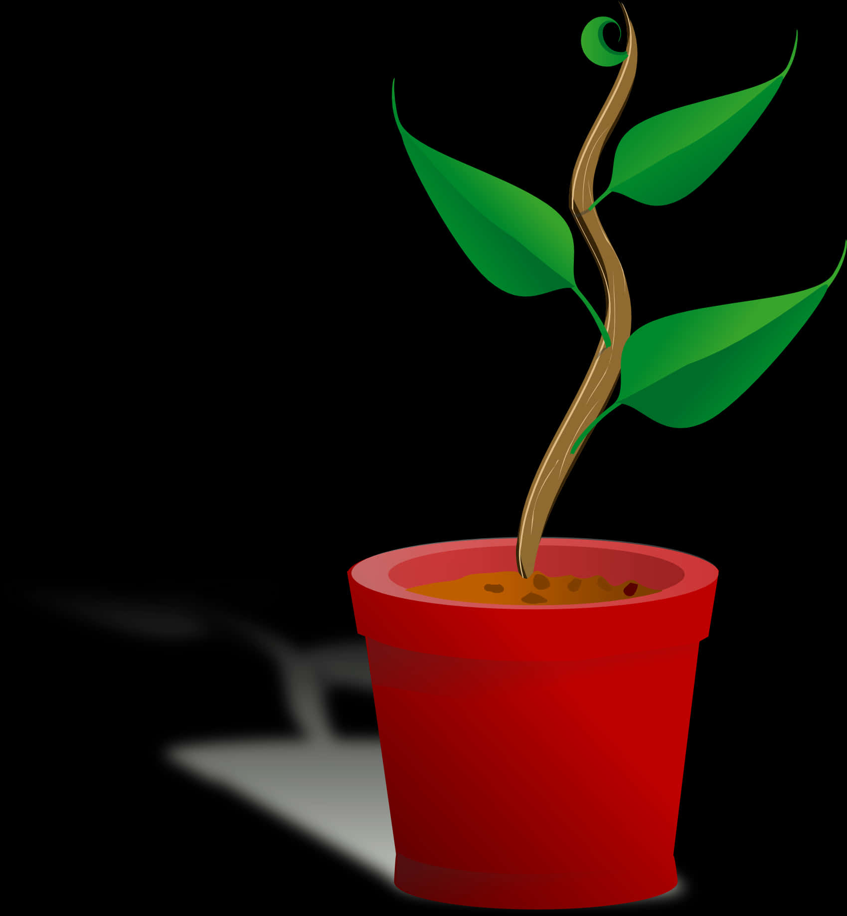 Young Plantin Red Pot PNG