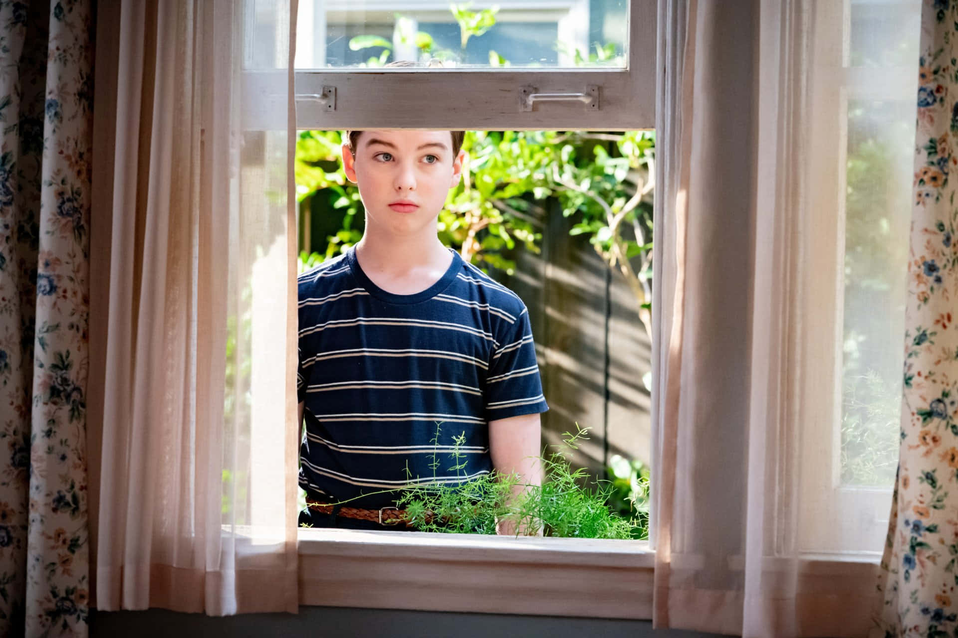 Young Sheldon Looking Through Window Wallpaper