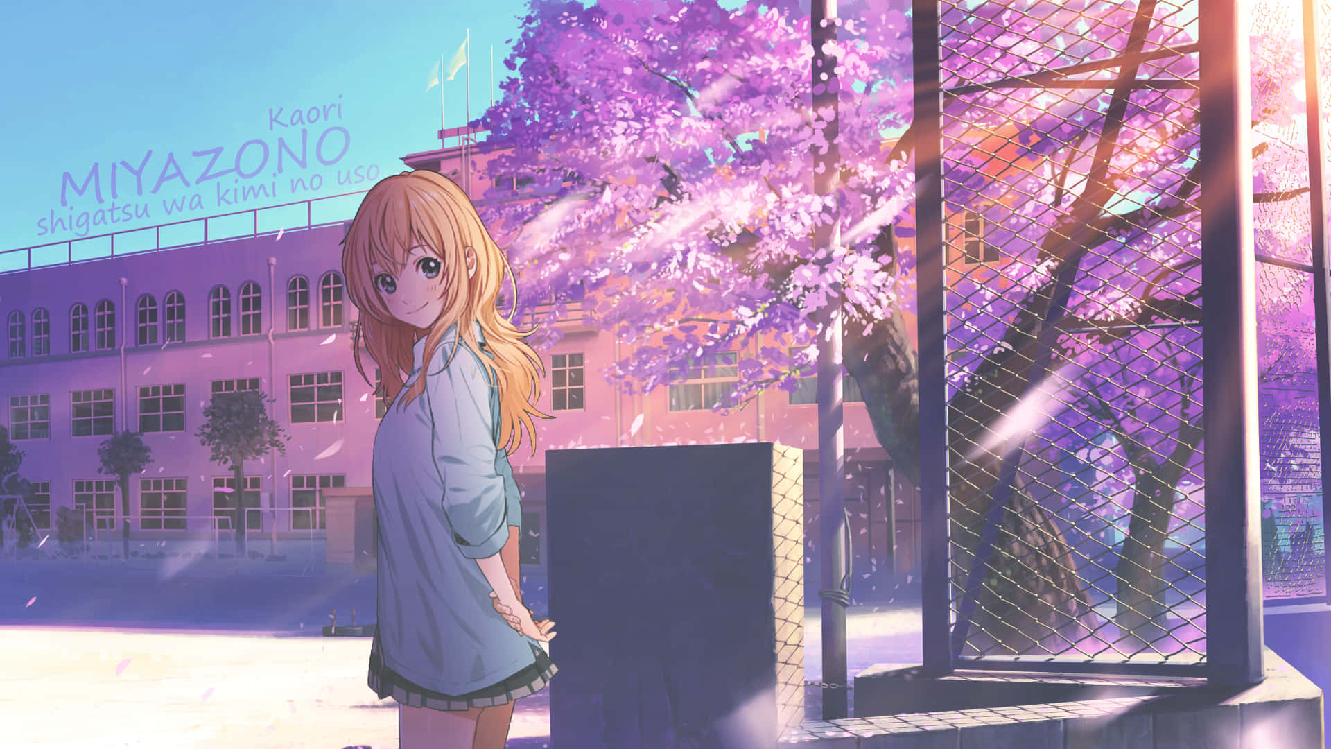 200+] Your Lie In April Backgrounds