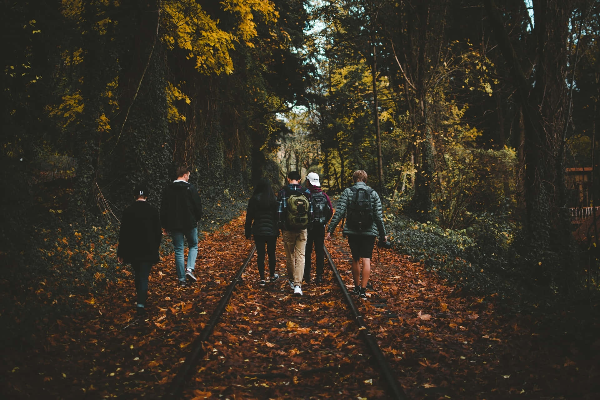 Youth Group Autumn Railroad Walk Wallpaper