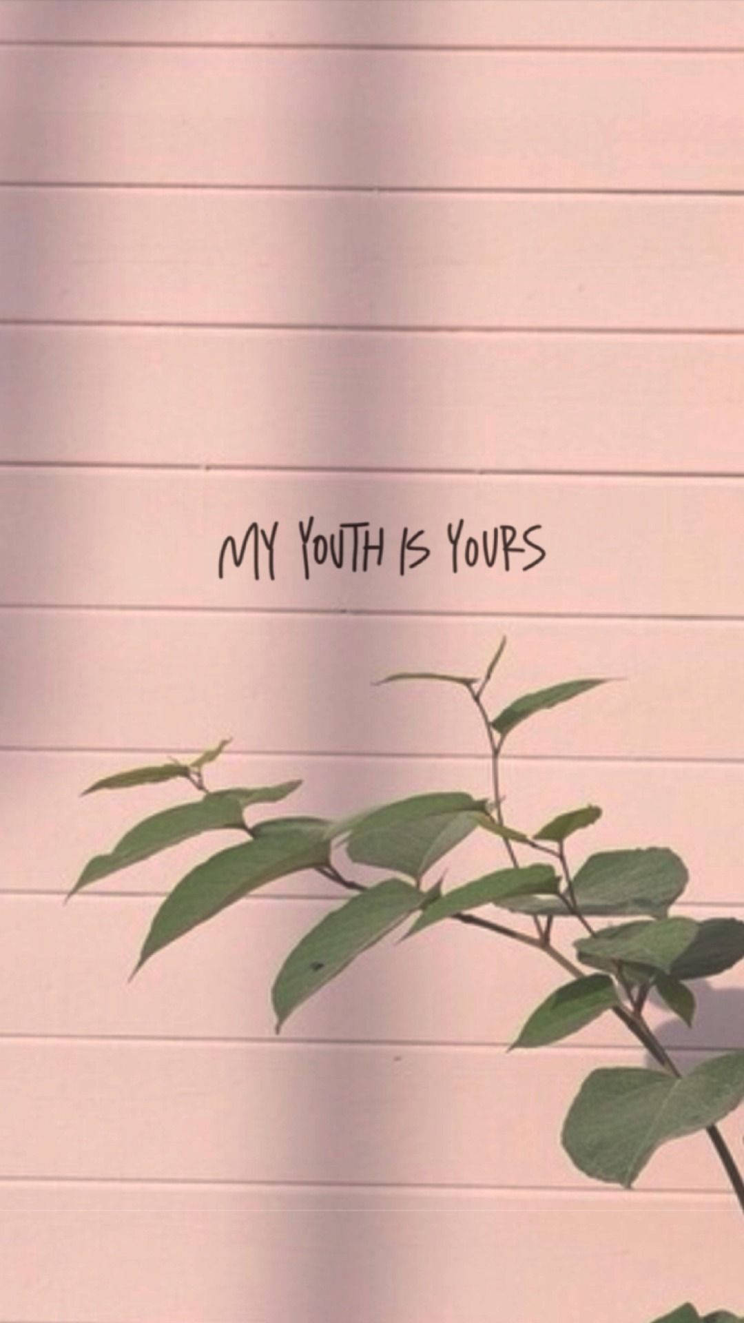 Youth Lyrics On Wall Tumblr Aesthetic