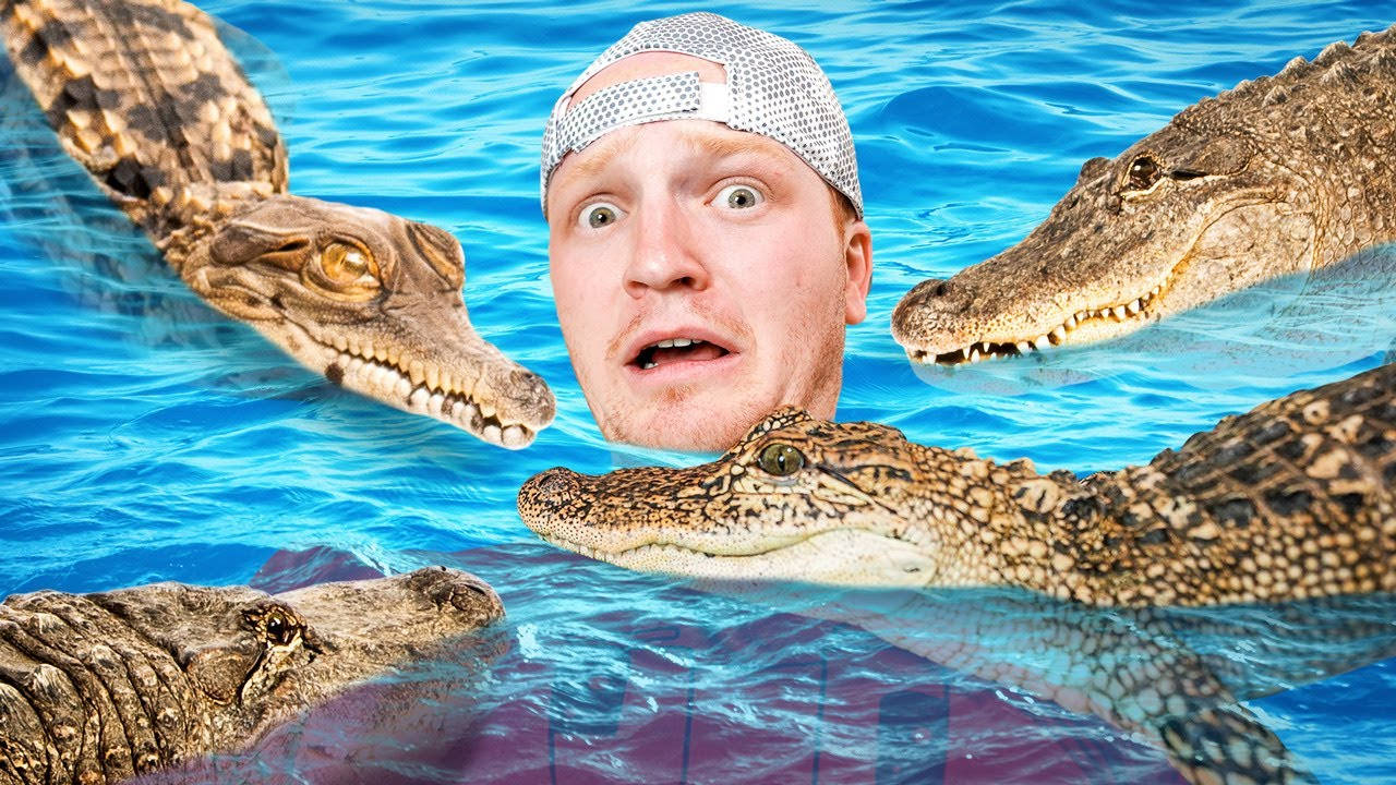 YouTuber Unspeakable Omgivet Af Alligatorer Wallpaper