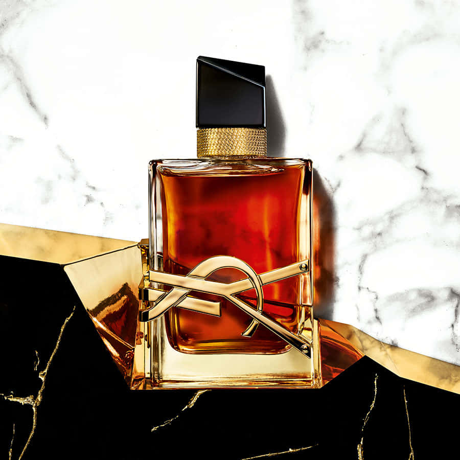 Show Your Sophisticated Style with YSL