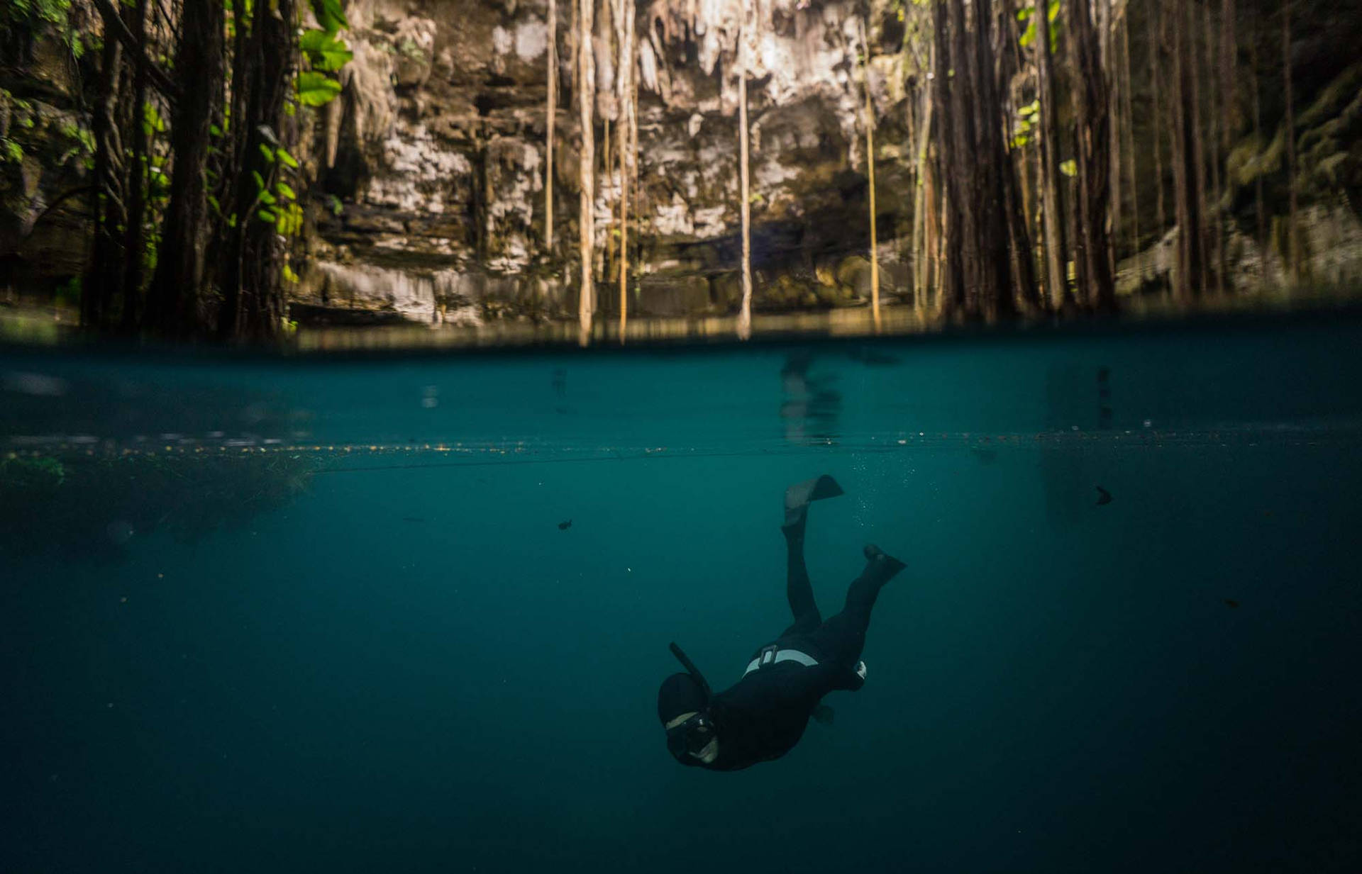 Diver exploring the underwater beauty in Yucatan Wallpaper