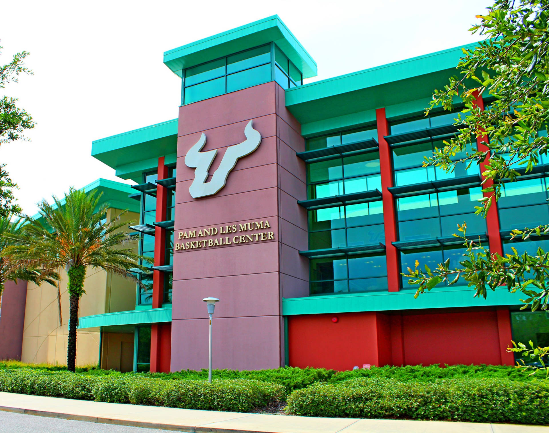 Yuenglingcenter Presso L'università Della Florida Del Sud Sfondo