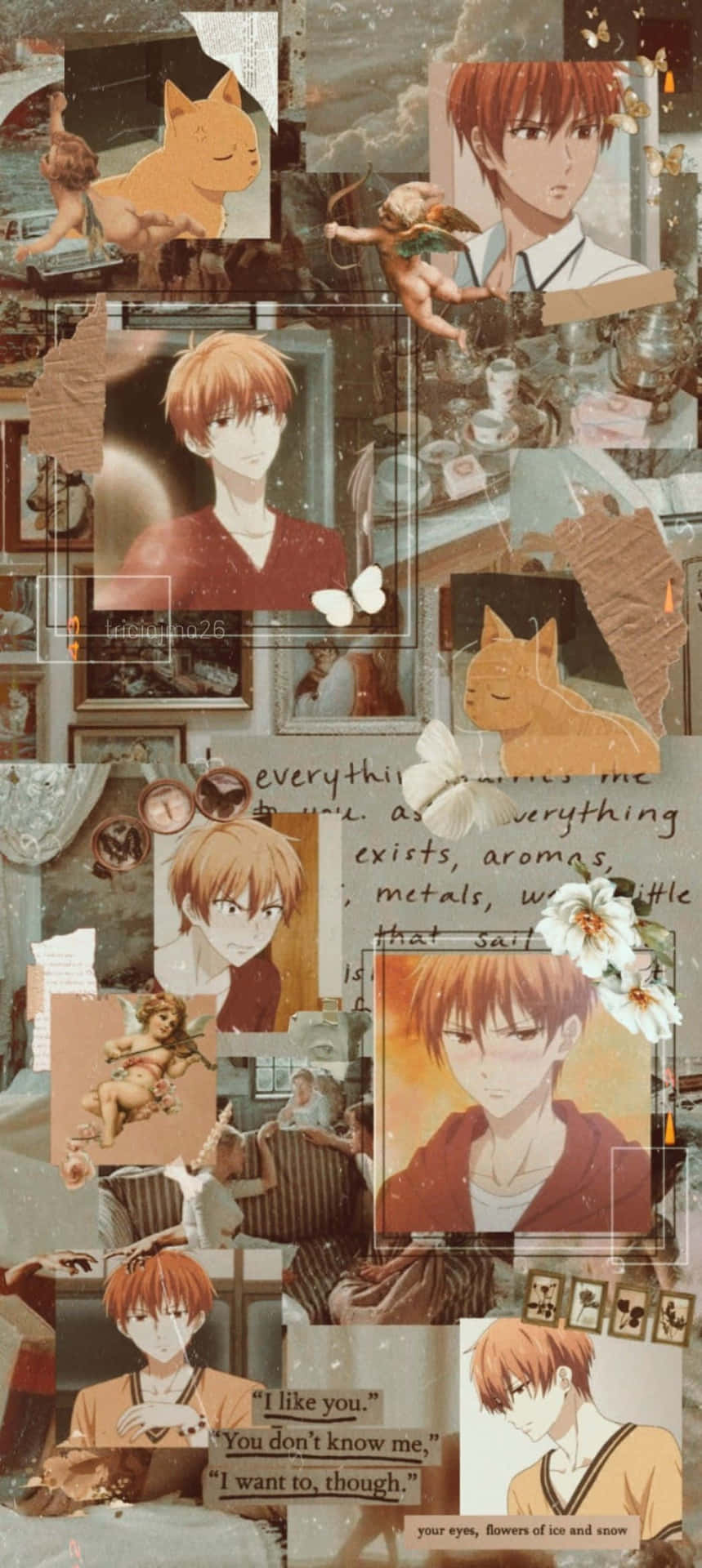 Kolase Aesthetic Yuki Sohma Wallpaper