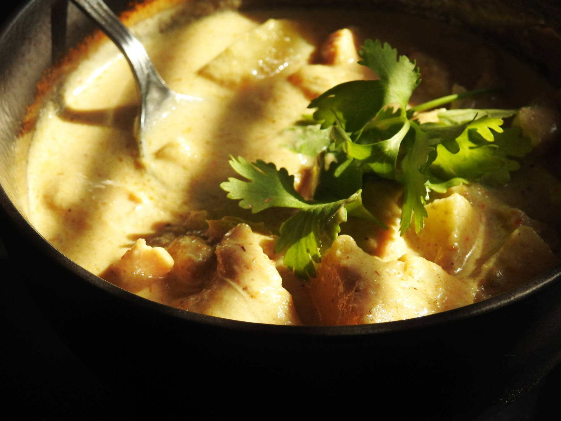 Yummy Thai Yellow Curry garnished with fresh coriander leaves. Wallpaper