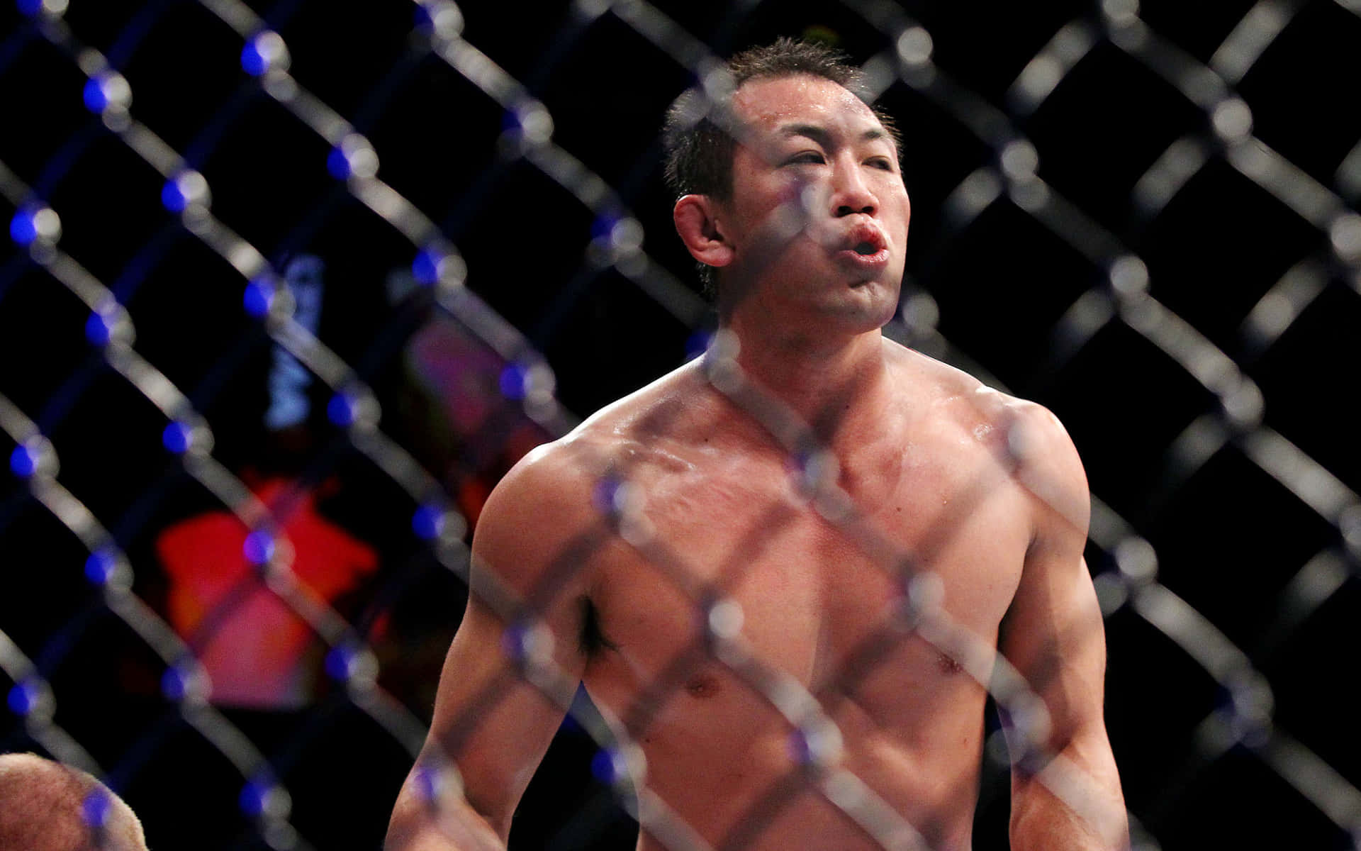 Yushin Okami Bag Netten UFC Fight Wallpaper