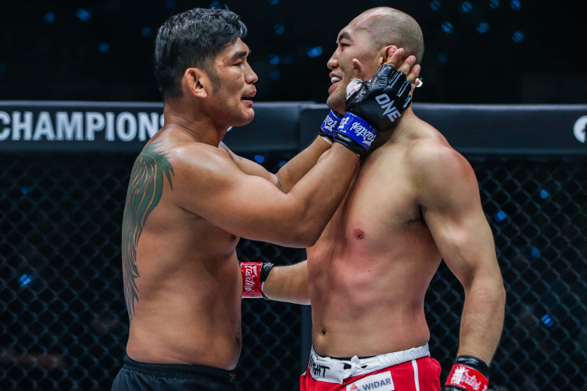 Yushin Okami VS. Aung La Nsang MMA Fight Wallpaper