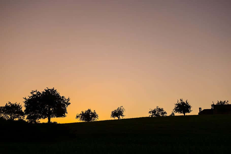 Yverdon Les Bains Sunset Silhouette Wallpaper