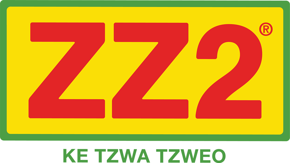 Z Z2 Brand Logo PNG