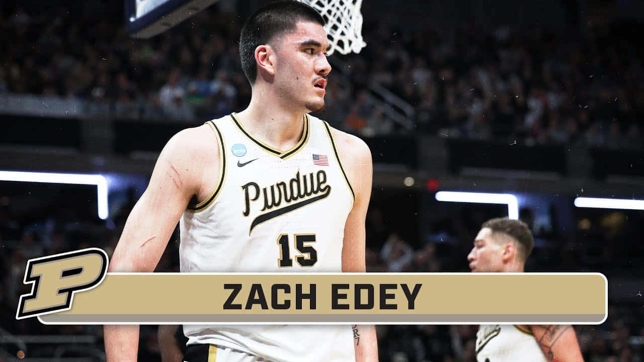 Zach Edey Purdue Basketball Player Wallpaper