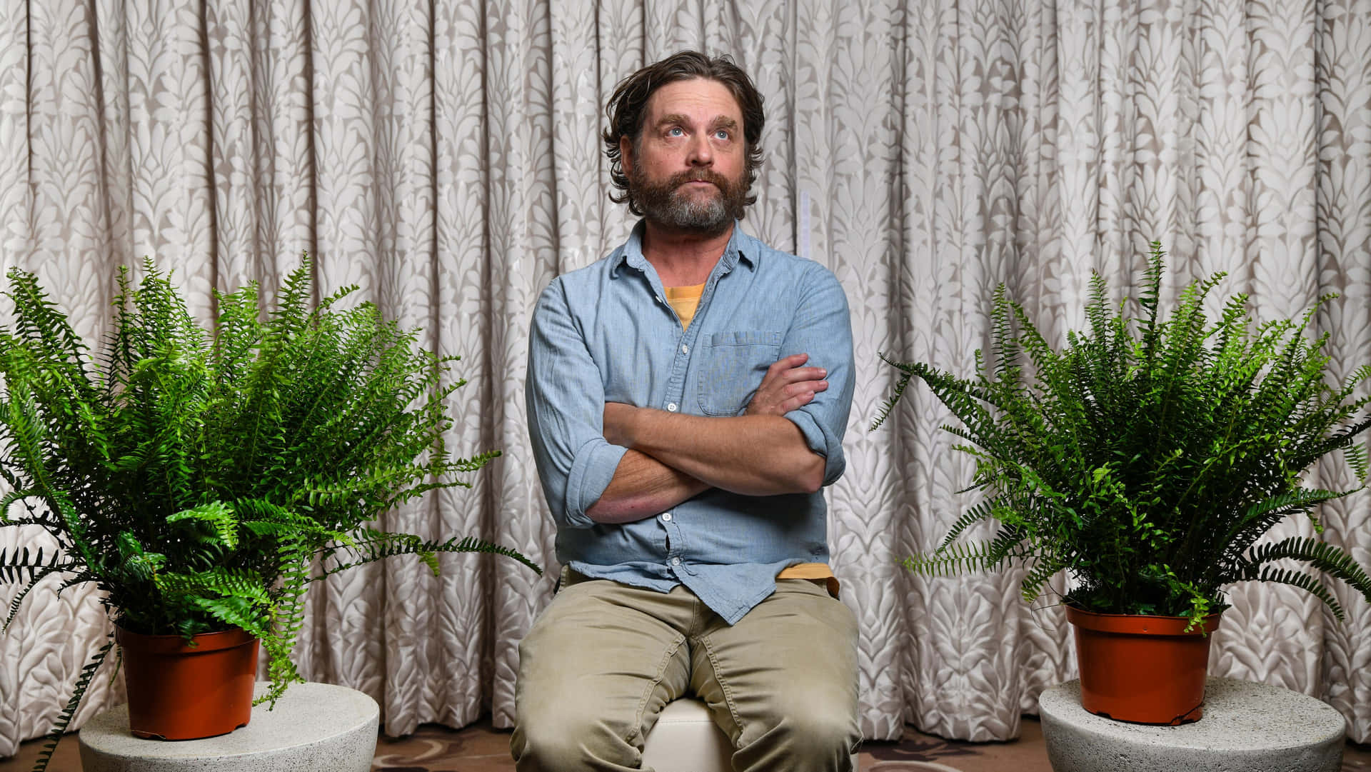 Zach Galifianakis in his most iconic role Wallpaper