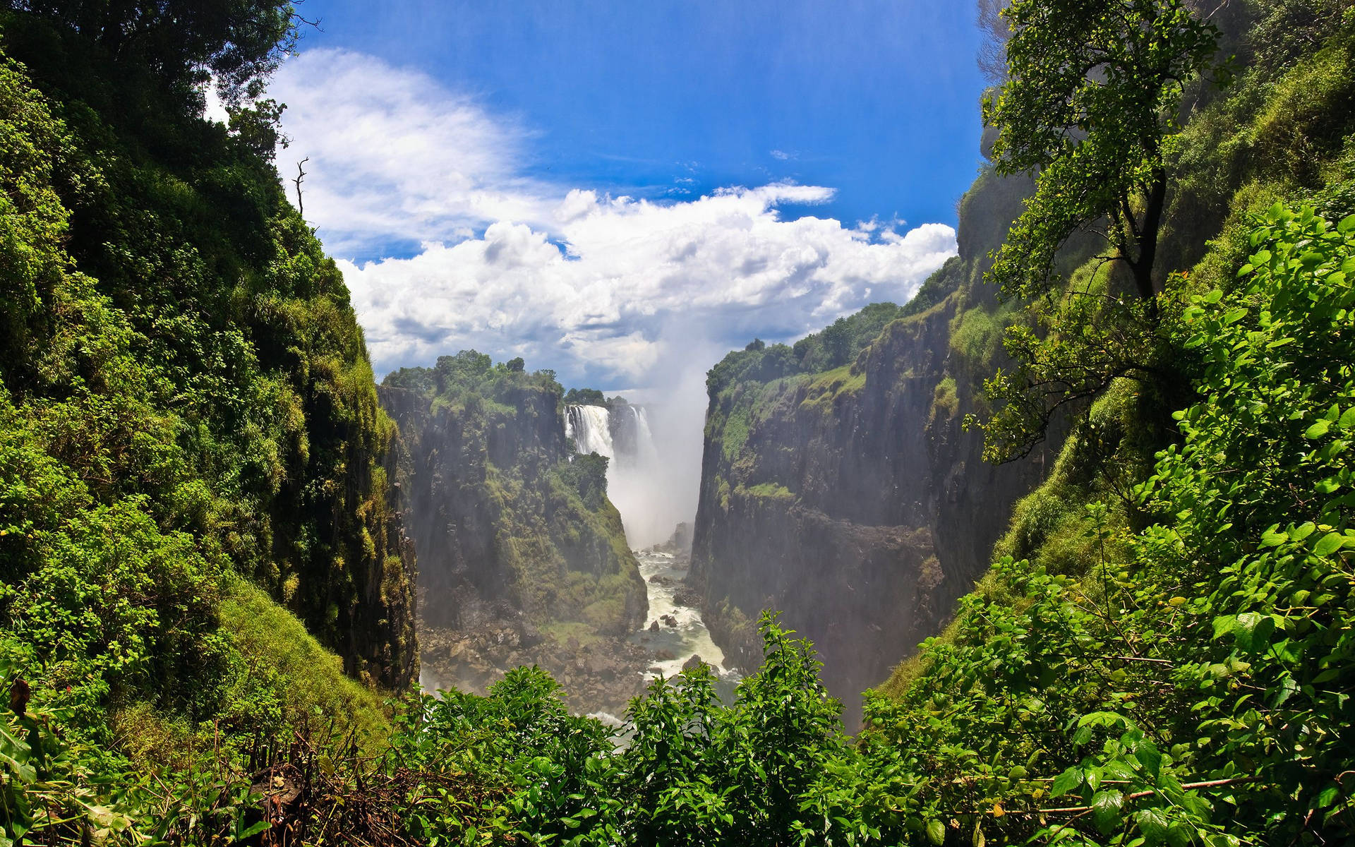 Zambia Forest Falls Background