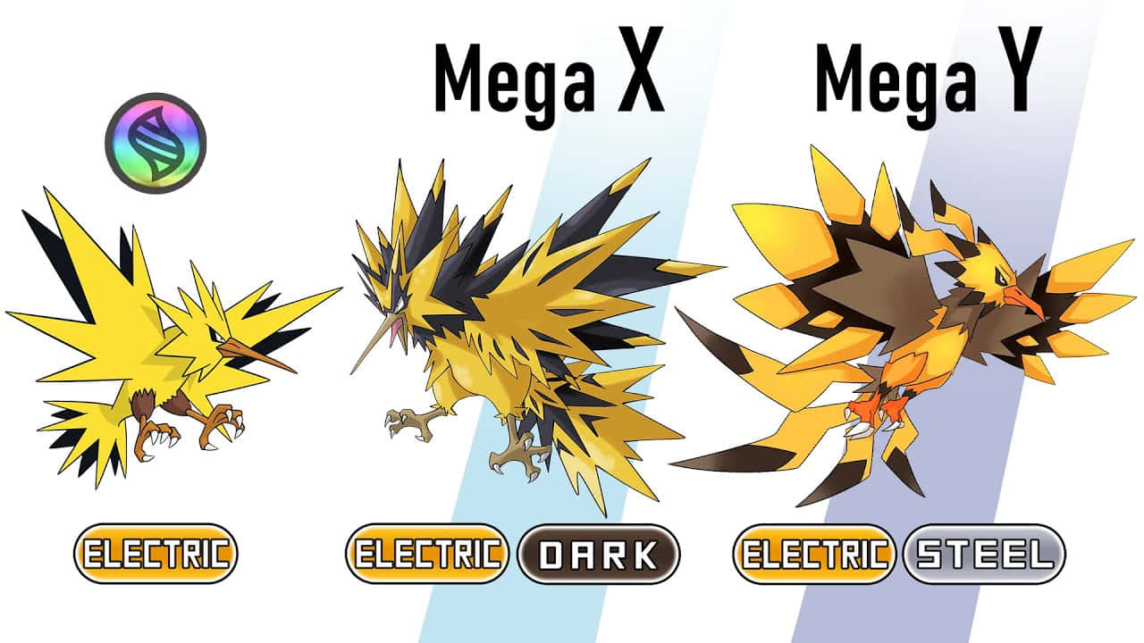 Caption: Electrifying Zapdos Mega Evolution Wallpaper — Three stylized electric bird Pokémon Mega Evolutions shown side by side with type labels.