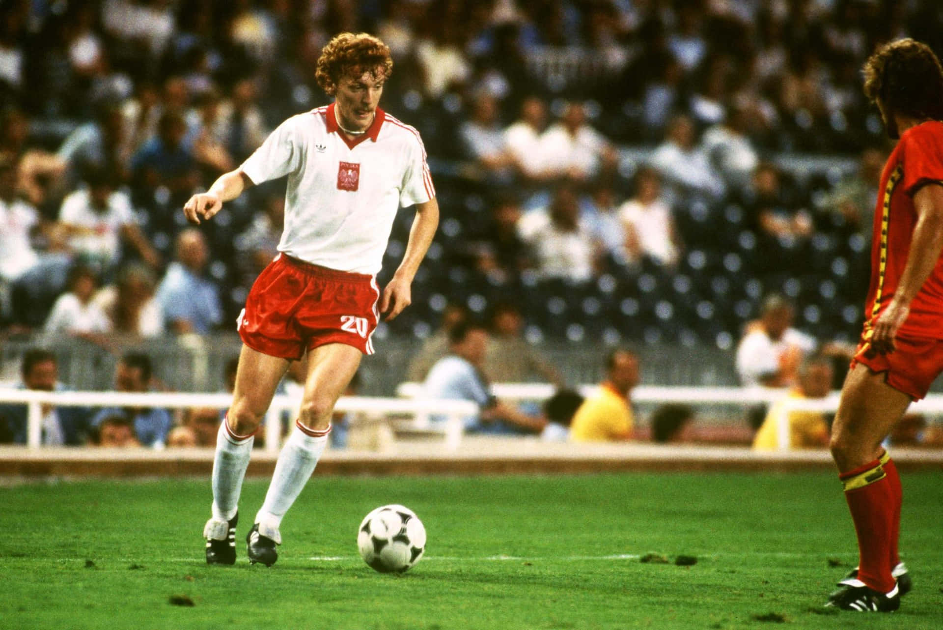 Download Zbigniew Boniek During Belgium And Poland World Cup Match ...