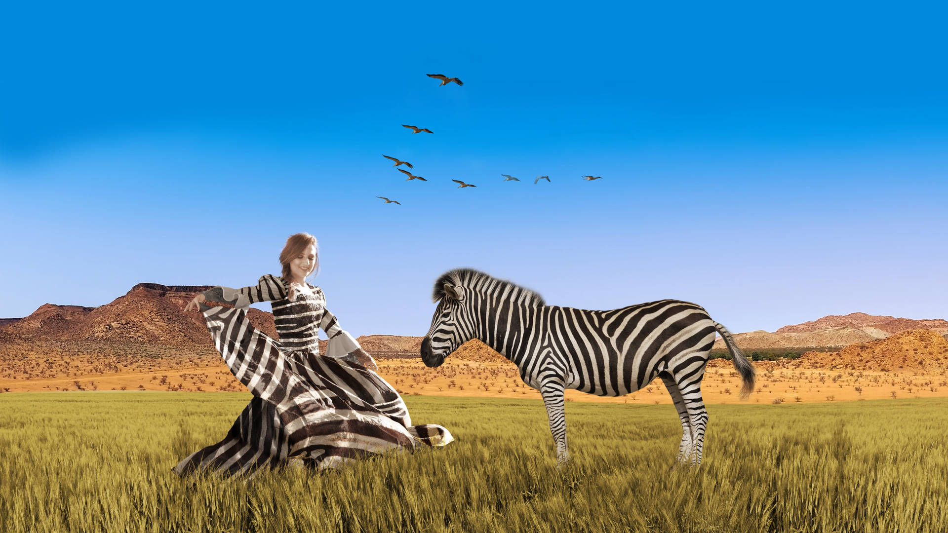 Zebra And A Woman Wallpaper