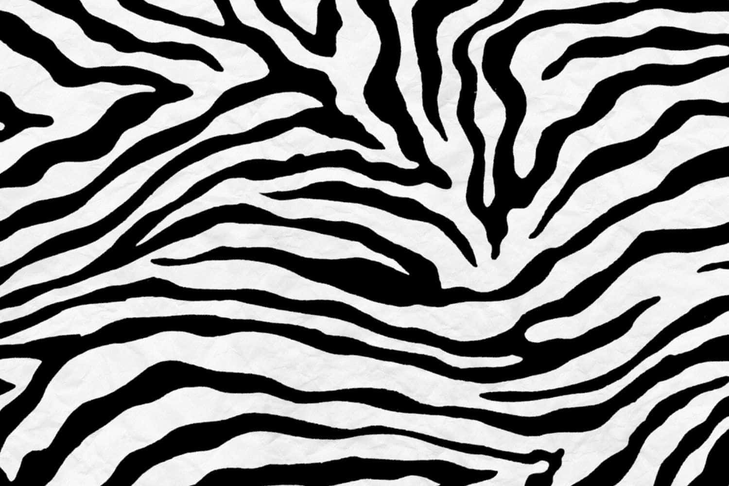 Zebrain Una Posa Dinamica