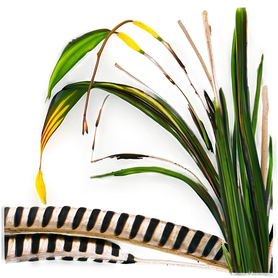 Zebra Grass Ornament Png 06212024 PNG