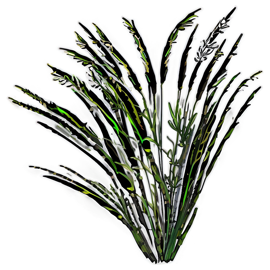 Zebra Grass Ornament Png 4 PNG