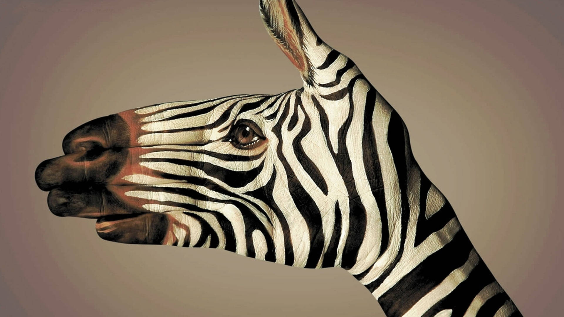 Pinturade Mão De Zebra Papel de Parede