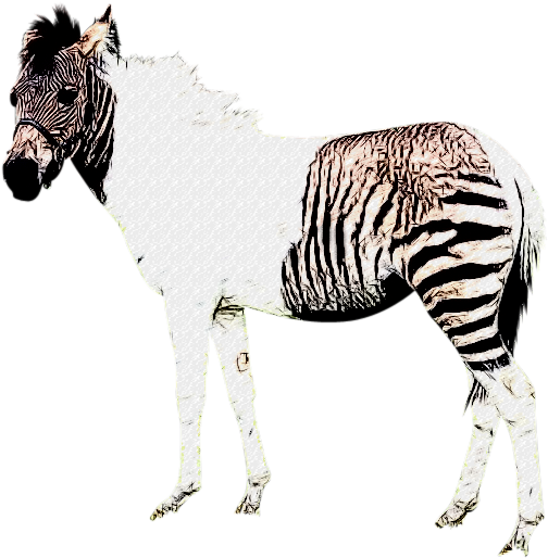 Zebra Horse Hybrid Illustration PNG