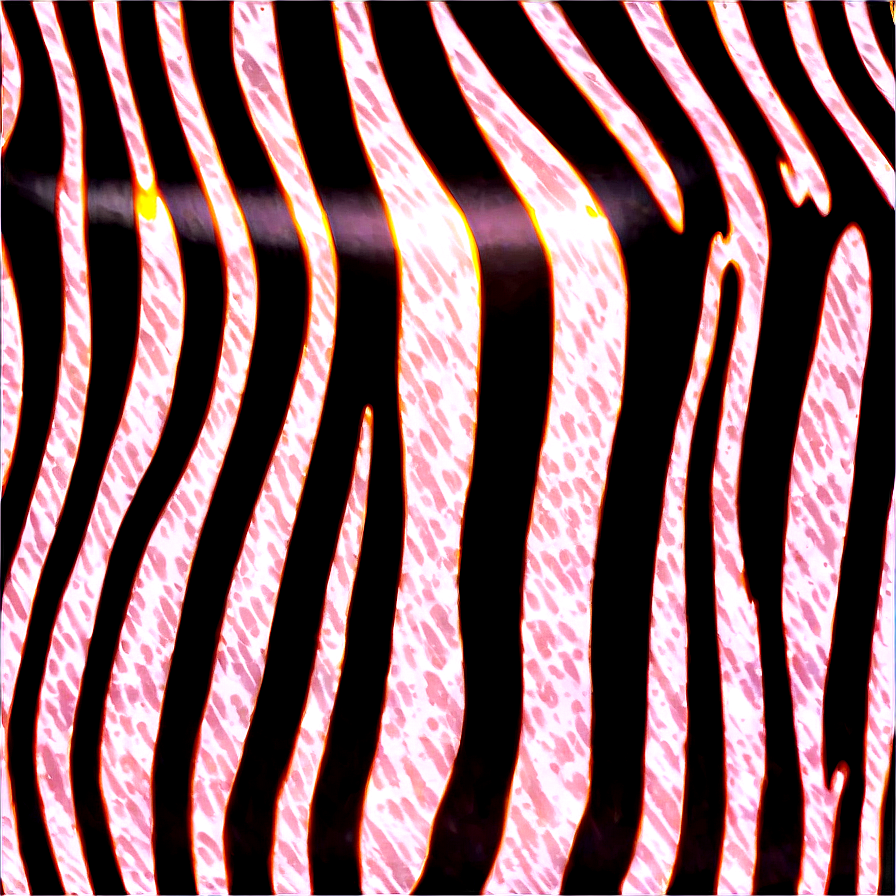Zebra Print In Nature Png 06272024 PNG