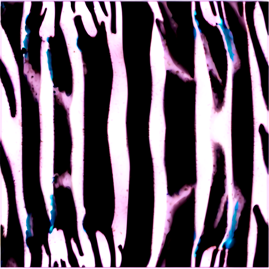 Zebra Print Png Xnf PNG