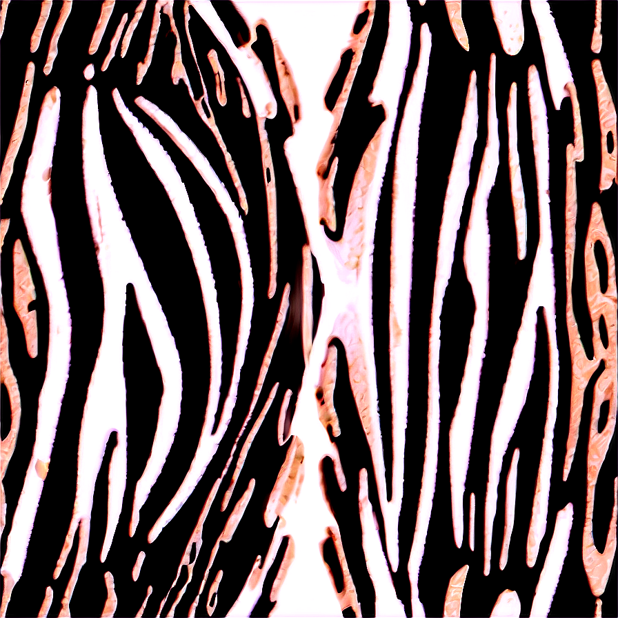 Zebra Print Vector Graphic Png 06272024 PNG