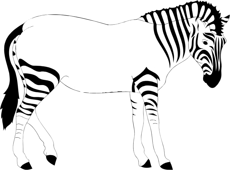 Zebra Side View Illustration PNG