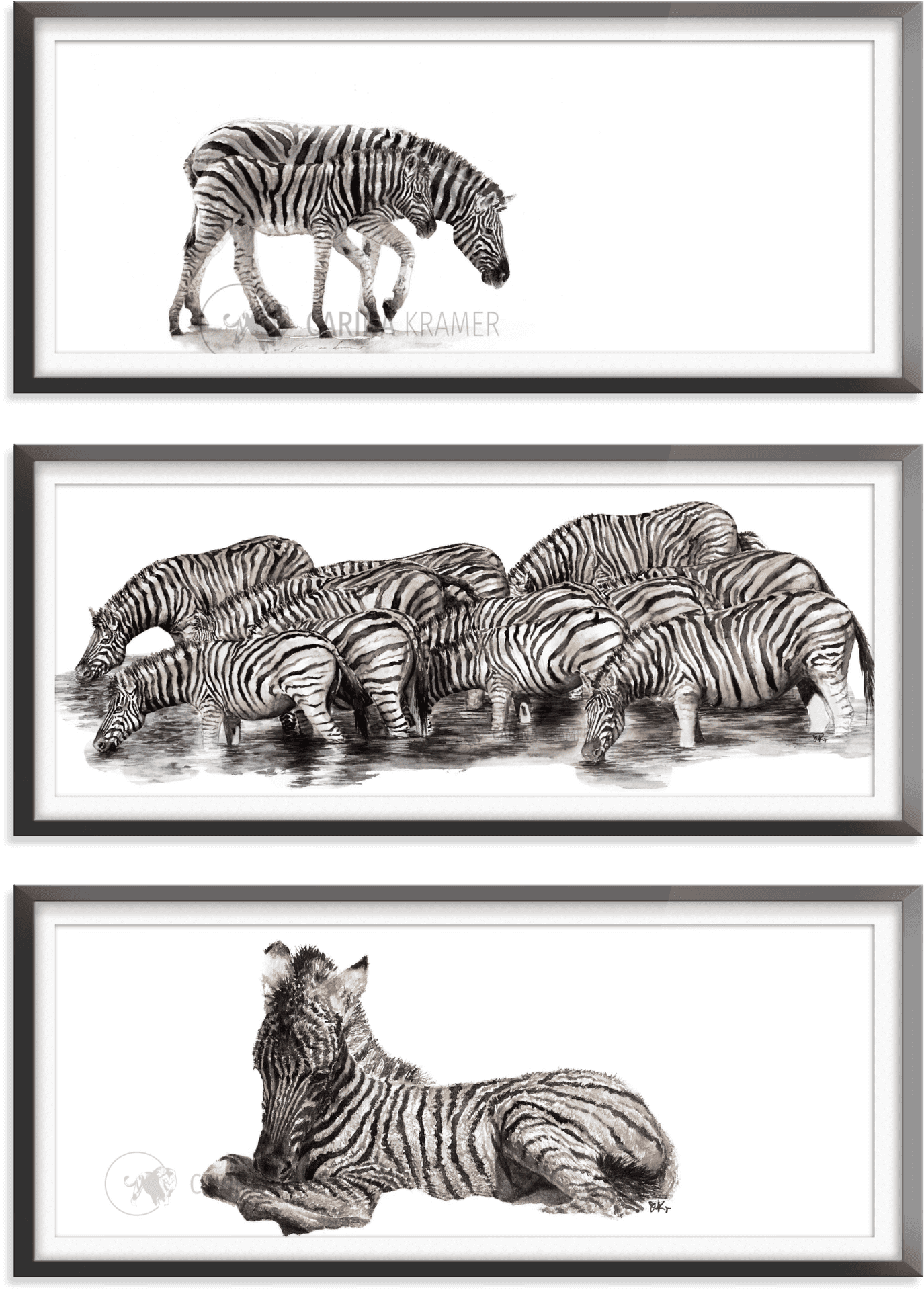Zebra_ Triptych_ Artwork PNG