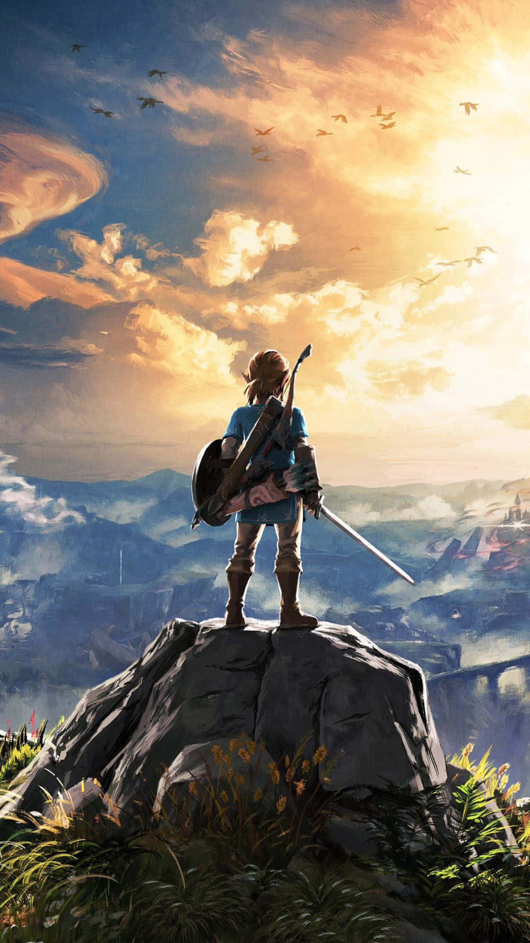 Zelda Botw Link Standing On A Rock Wallpaper