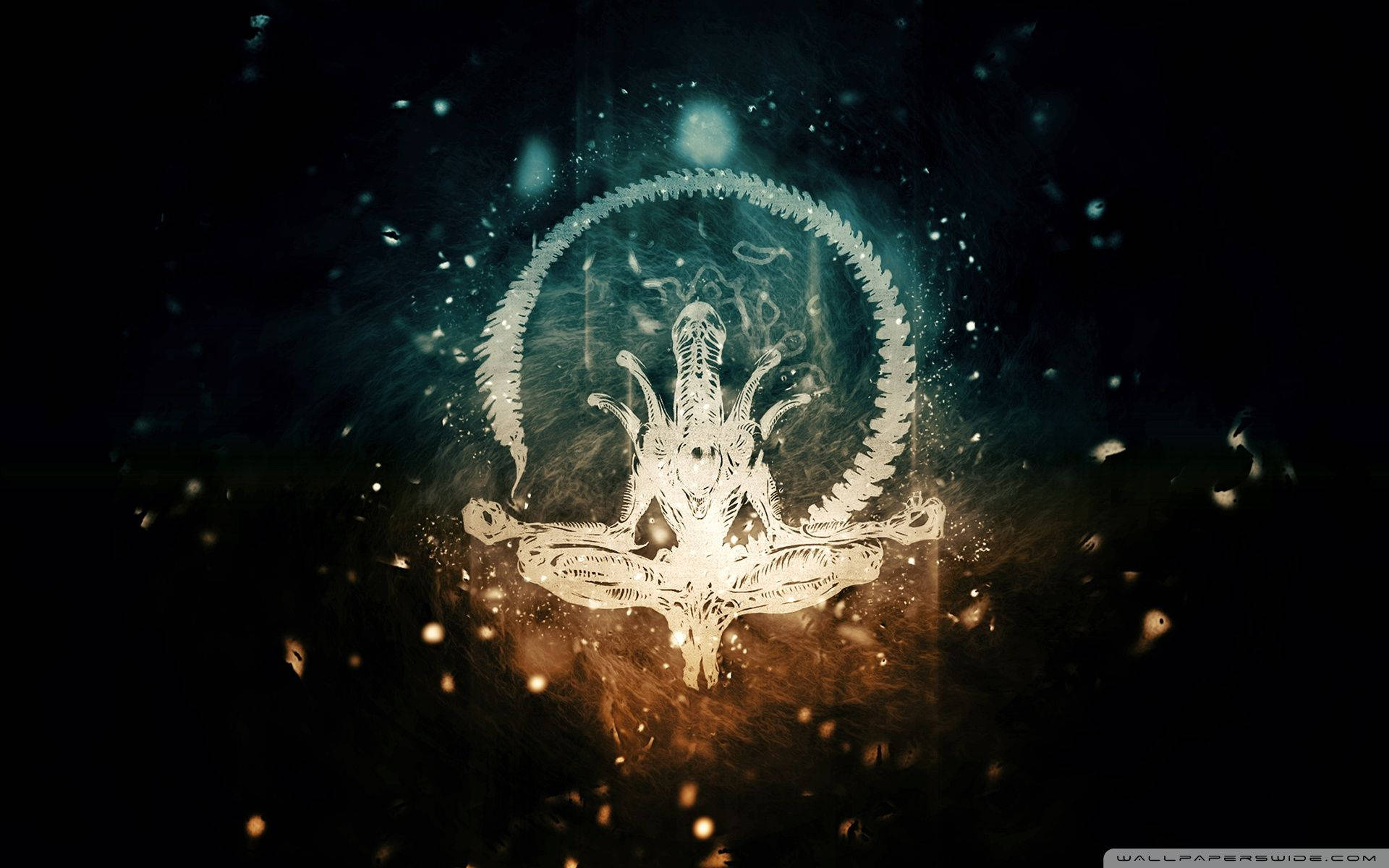 Zen Alien On Black Background Wallpaper