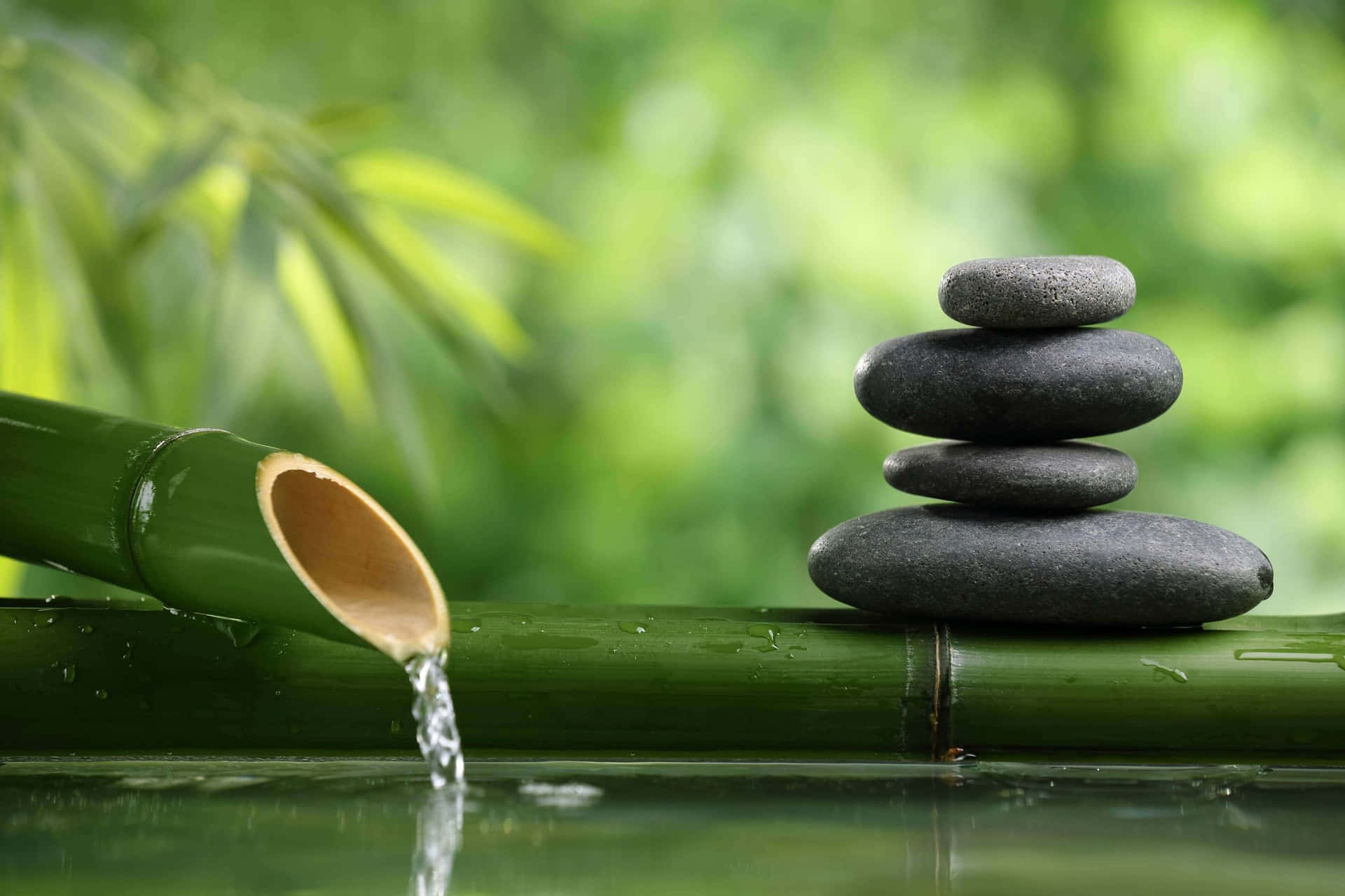 Abrase À Tranquilidade E Deixe A Paz Do Zen Te Envolver.