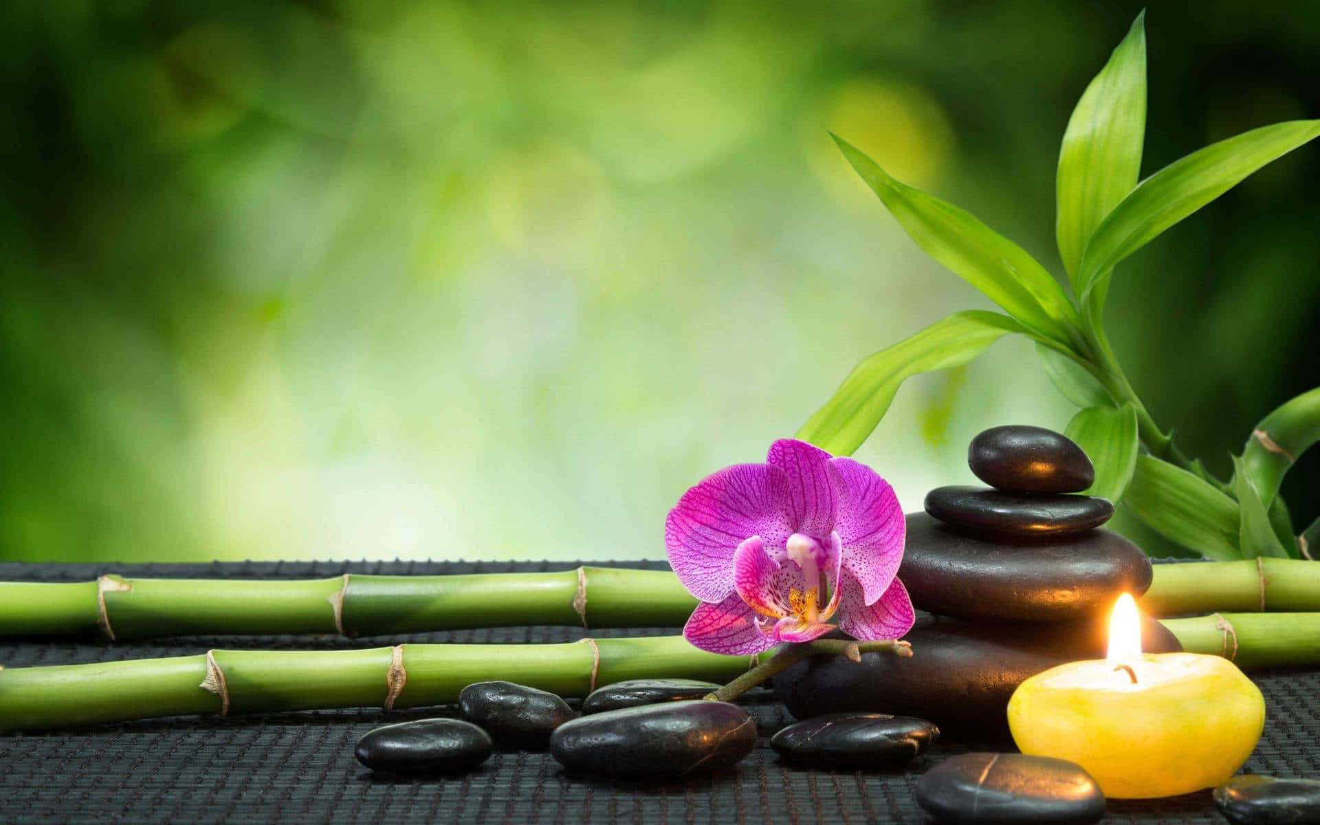 Find your inner balance in a mindful Zen garden