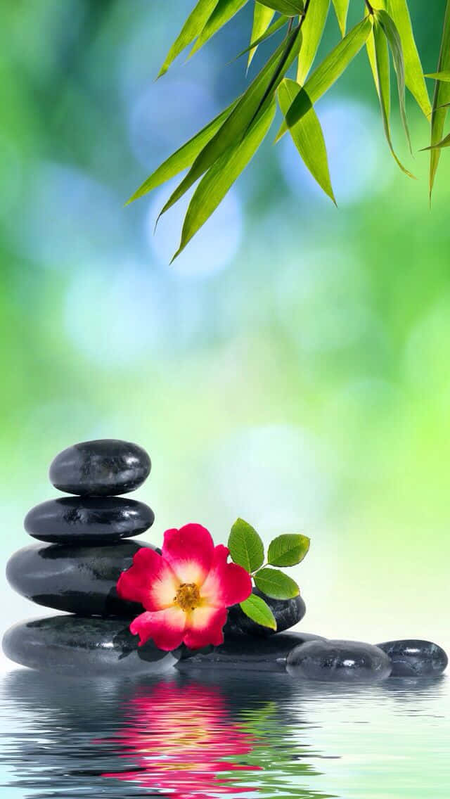 Find inner peace with Zen