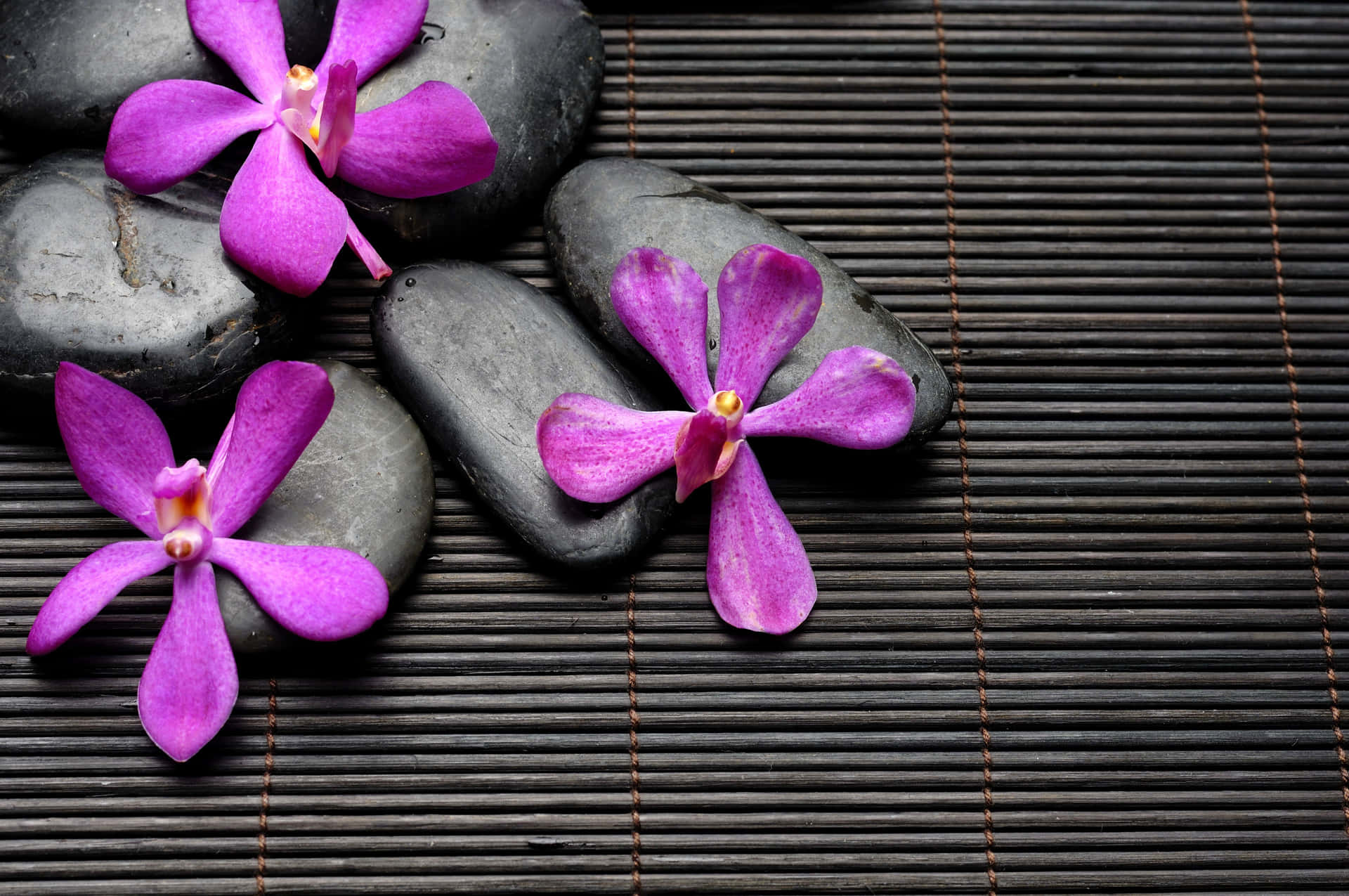 Zen Desktop Violet Flowers With Stones Wallpaper