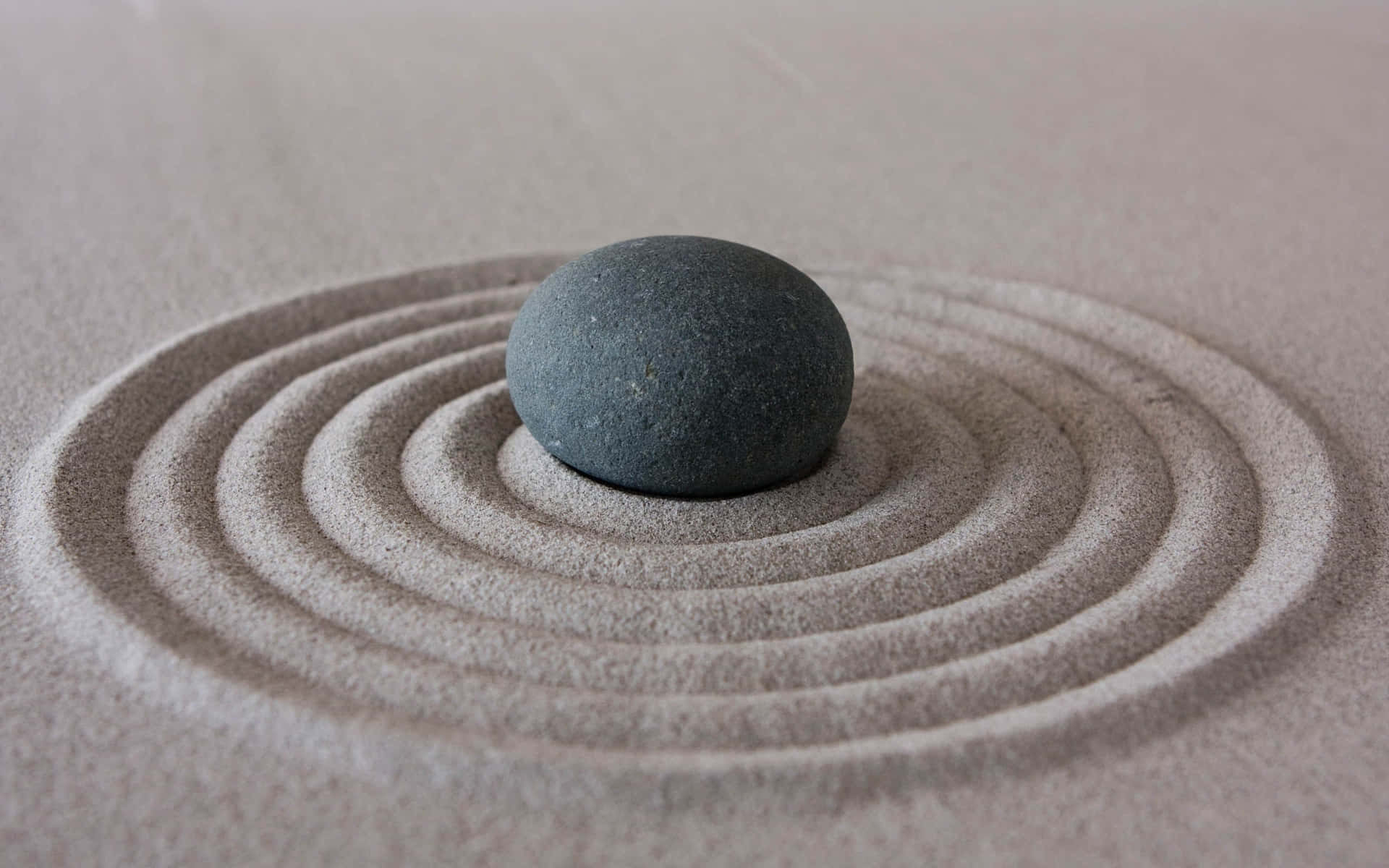 Zen Desktop Black Stone Inside Circles Wallpaper