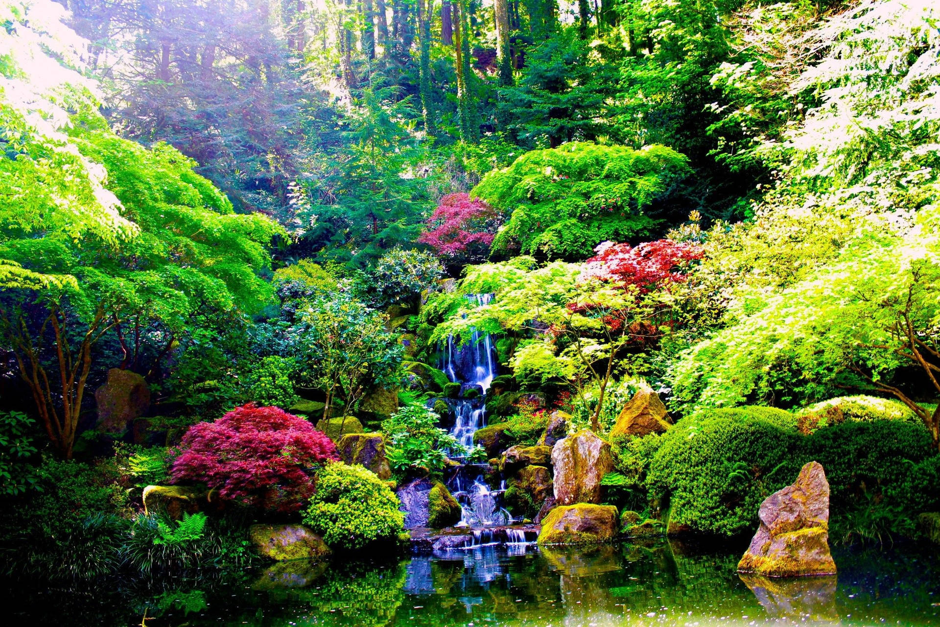 Zen Forest Garden Wallpaper