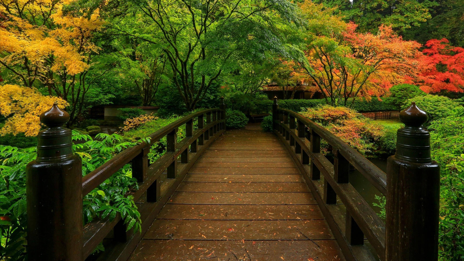 Zen Garden Forest Bridge Wallpaper