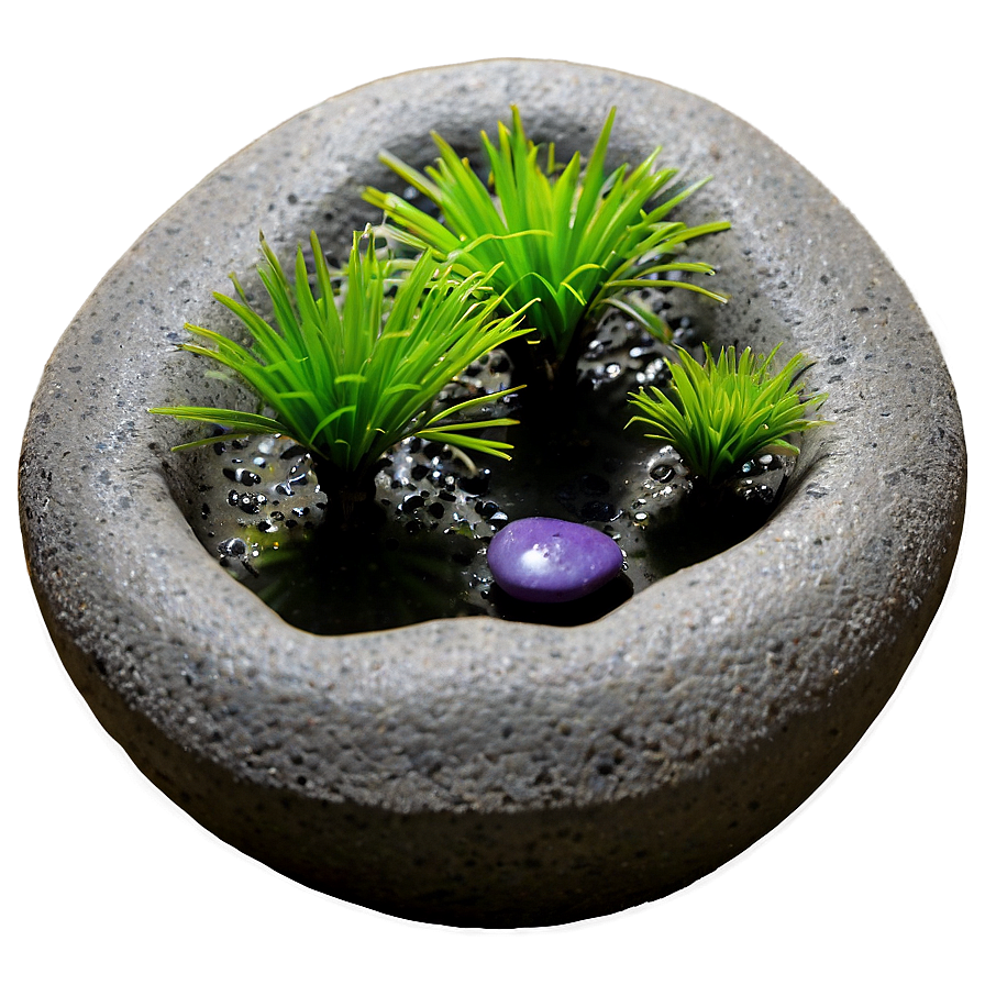 Zen Garden Plants Png Qde25 PNG