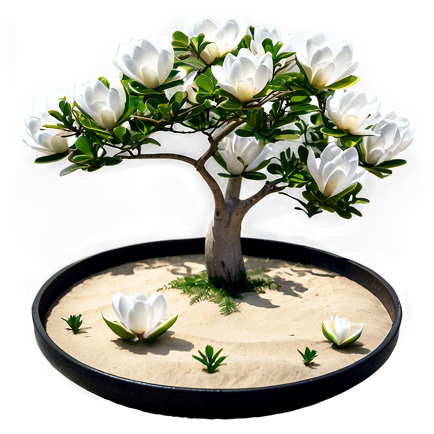 Zen Garden With Magnolia Tree Png Nlw PNG